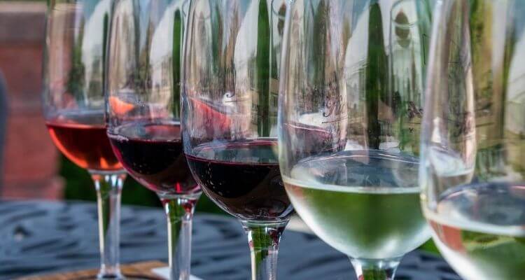 wine tasting glasses on table