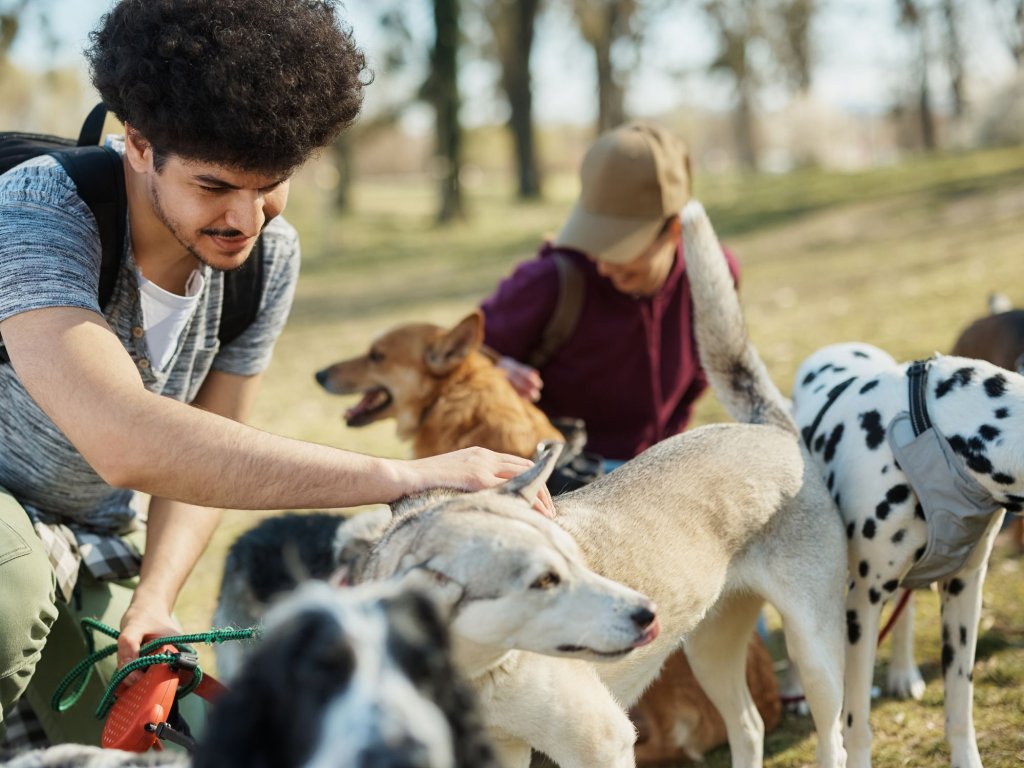 dogs-with-people-outdoors