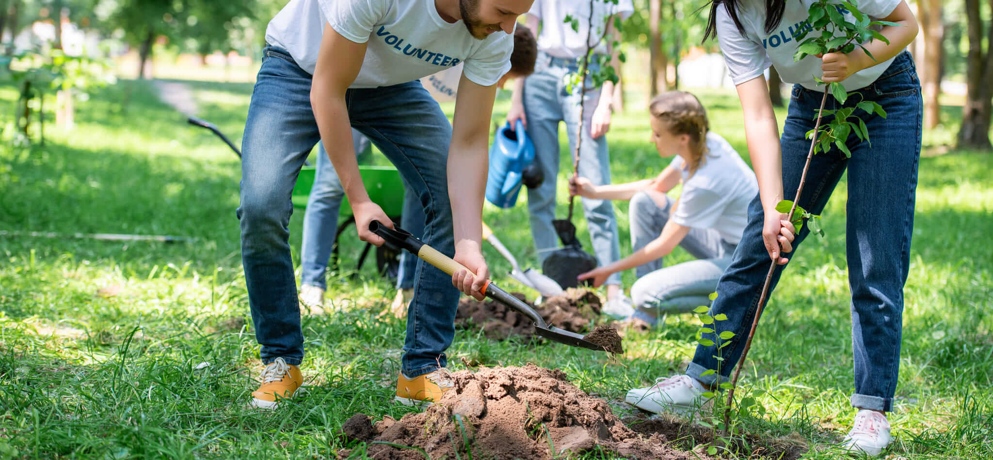 A group of corporate volunteers planting trees as part of a nonprofit fundraising event.