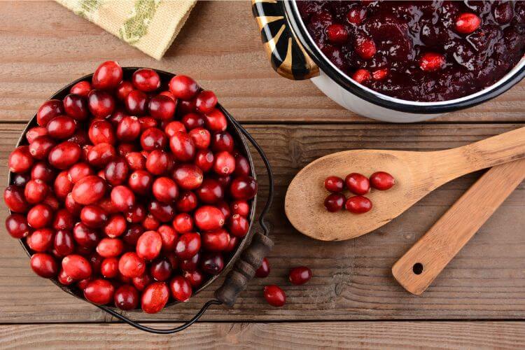 cranberries for thanksgiving trivia